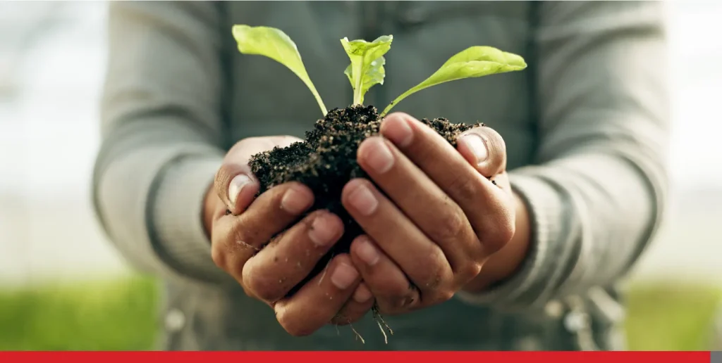 Hands of people, plants and soil from sustainable gardening, organic farming and vegetables.