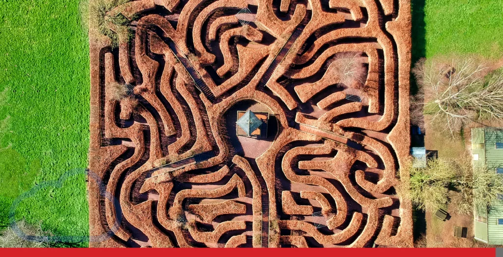 An overhead view of a complicated maze